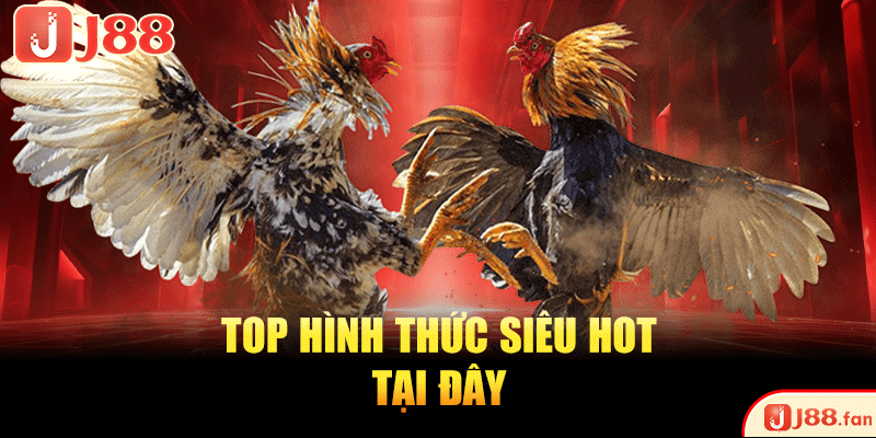 Top hình thức siêu hot tại đây